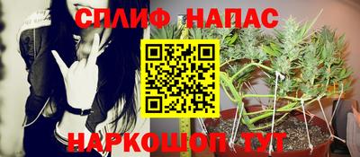 молекула духа Гагарин