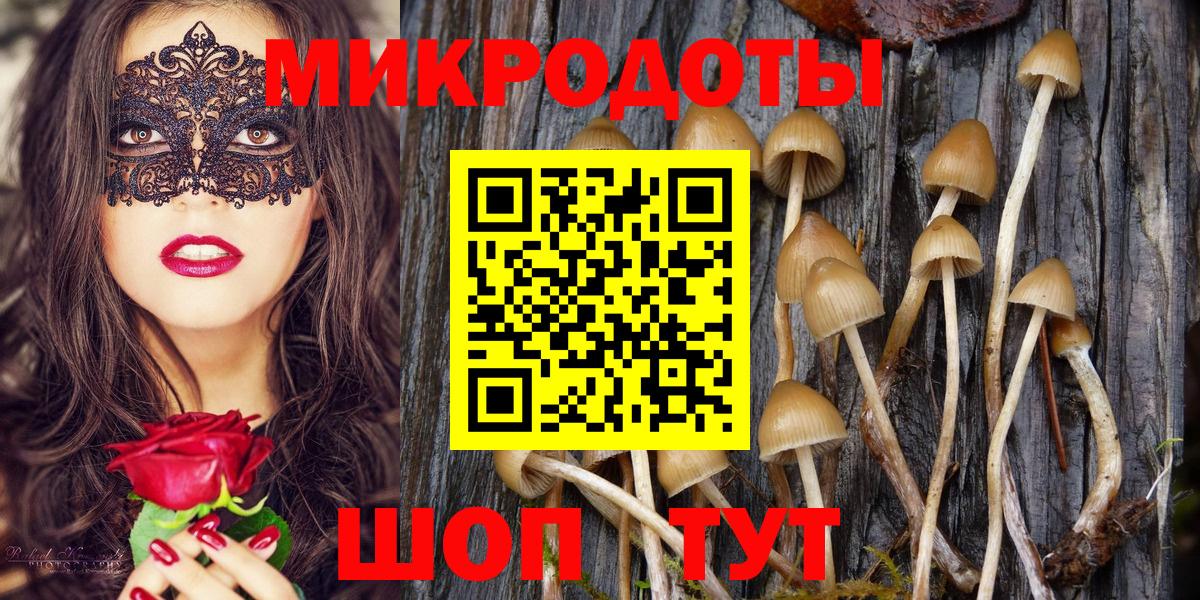 Псилоцибиновые грибы ЛСД Новороссийск
